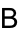 shapeimage_2_link_0